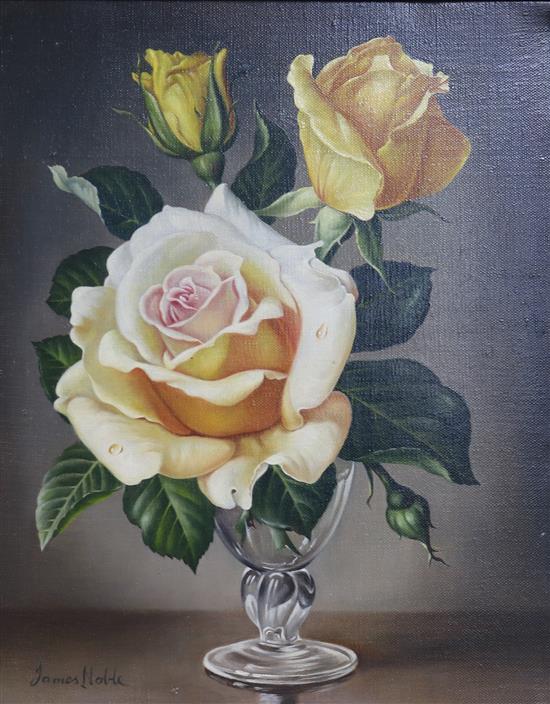 James Noble (1919-1989) oil, Pink tinged gold rose, 24.5 x 19.5cm